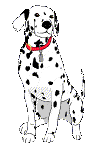 Woof! I'm K9Gear, my Master named me that because I love to go hiking and camping!