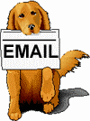 or email us @ K9Thunder@K9gear.net