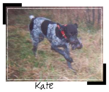 I'm a "bird" dog!