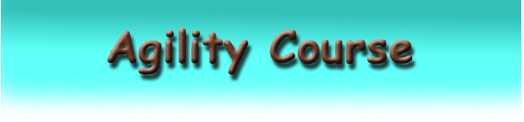 agility heading