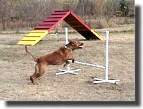 jump