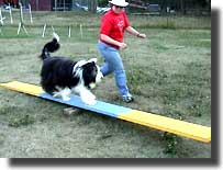 teeter