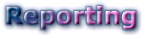 Reporting