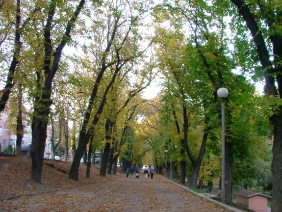 toamna...