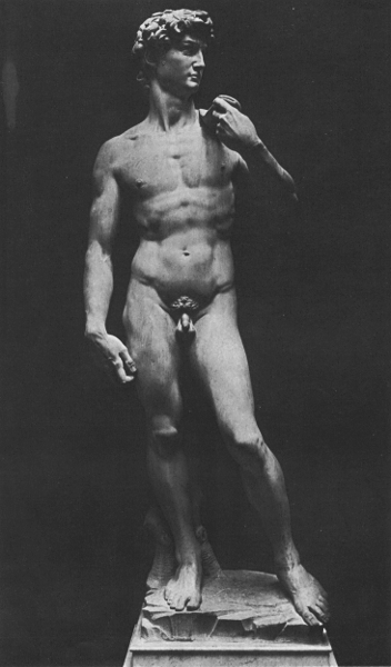 You wanted nudity?  Here's your hot, hot cock!