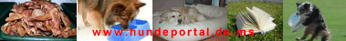 Hundeportal