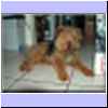 Pacco