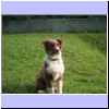 Balu