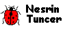 Nesrin-Tuncer-Tuna Page