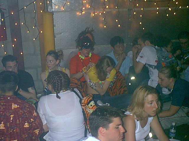 rave1.jpg (82K)