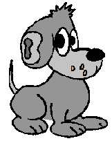 My dog Sparky