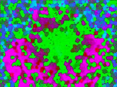 the helpful monkey