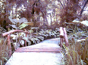 Ecopark
