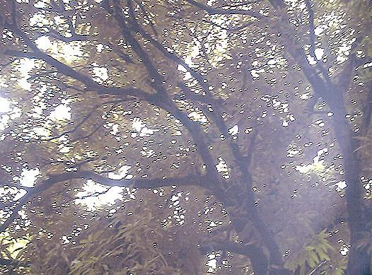 Ecopark