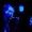 Blue Opera Nights