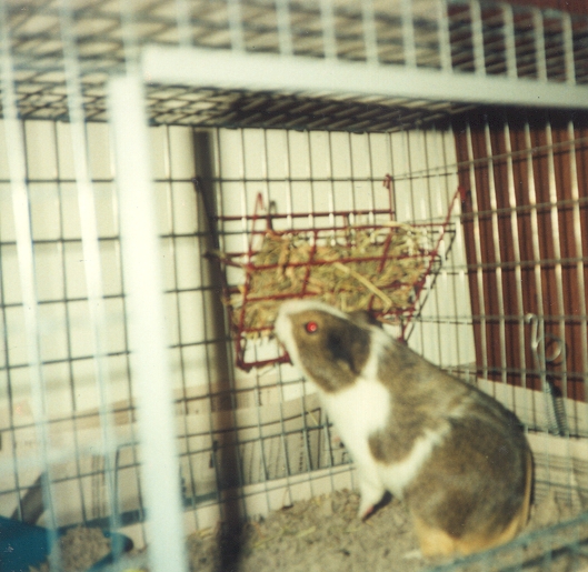 Harry in his 'Hay Cave'