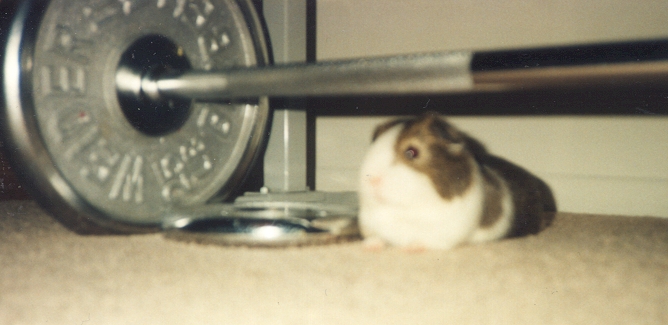 Harry the weightlifter