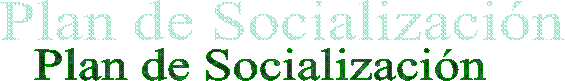 Plan de Socializaci�n