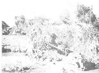 pindutin mo para lumaki