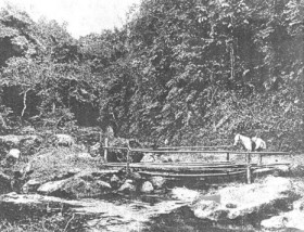 pindutin mo para lumaki