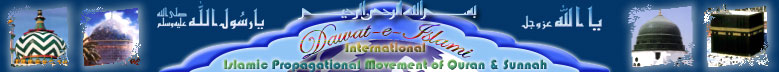 I love Dawat-e-Islami