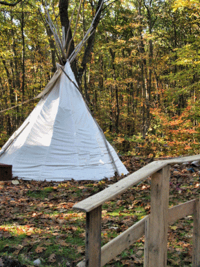 Owen built a small bridge that leads down the teepee path