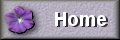 Back to Main Home Page