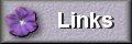 Favorite Links