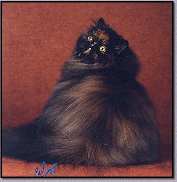 Peggy O