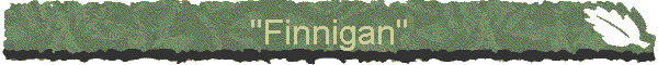 "Finnigan"