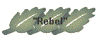 "Rebel"