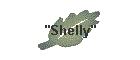 "Shelly"