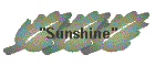 "Sunshine"