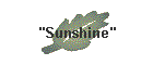"Sunshine"