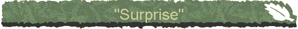 "Surprise"