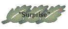 "Surprise"