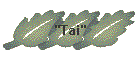 "Tai"