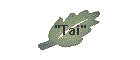 "Tai"