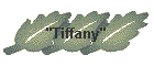 "Tiffany"&nbsp;