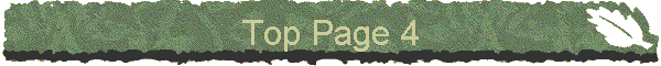 Top Page 4
