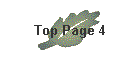 Top Page 4