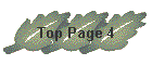 Top Page 4