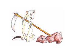 Behold. I am the Ferret of Death.
