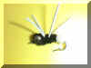 Michael Williams Michael T's Dumb-G-Bug.jpg (45941 bytes)