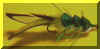 Tom Dickerson Slider.jpg (17947 bytes)