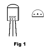 fig-1.gif 