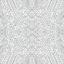 thm_lback8.gif (2833 bytes)