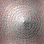 thm_wback10.gif (4607 bytes)
