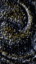 thm_wback11.gif (3376 bytes)