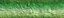 thm_wback5.gif (2134 bytes)
